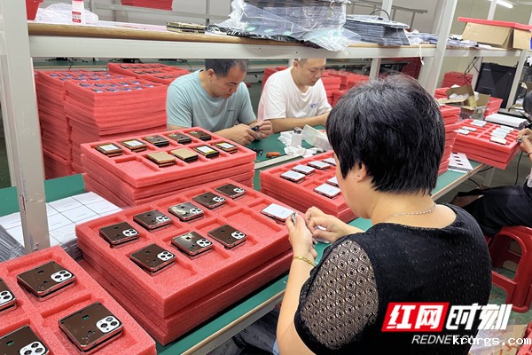 图片3_副本.jpg
